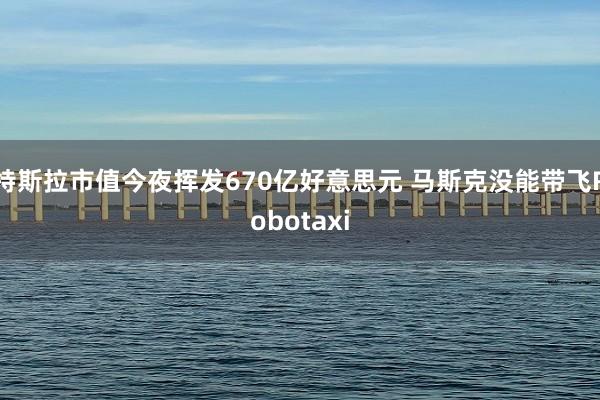 特斯拉市值今夜挥发670亿好意思元 马斯克没能带飞Robotaxi