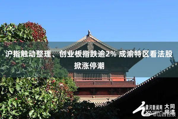 沪指触动整理、创业板指跌逾2% 成渝特区看法股掀涨停潮