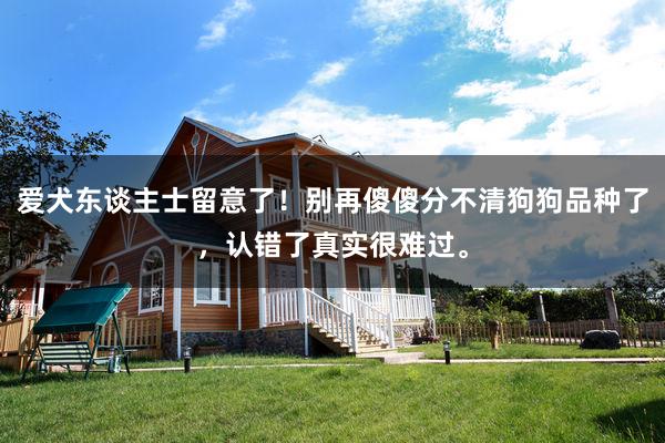 爱犬东谈主士留意了！别再傻傻分不清狗狗品种了，认错了真实很难过。