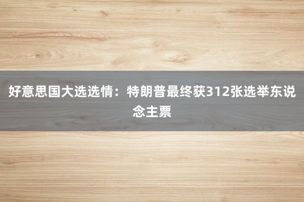 好意思国大选选情：特朗普最终获312张选举东说念主票