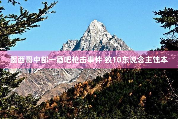 墨西哥中部一酒吧枪击事件 致10东说念主蚀本