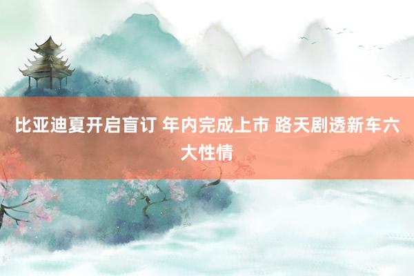 比亚迪夏开启盲订 年内完成上市 路天剧透新车六大性情