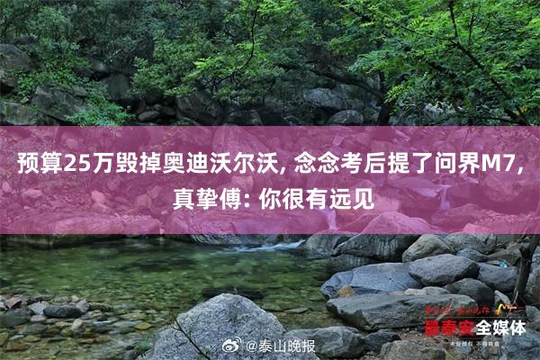 预算25万毁掉奥迪沃尔沃, 念念考后提了问界M7, 真挚傅: 你很有远见