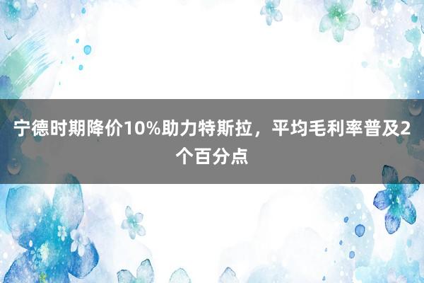 宁德时期降价10%助力特斯拉，平均毛利率普及2个百分点